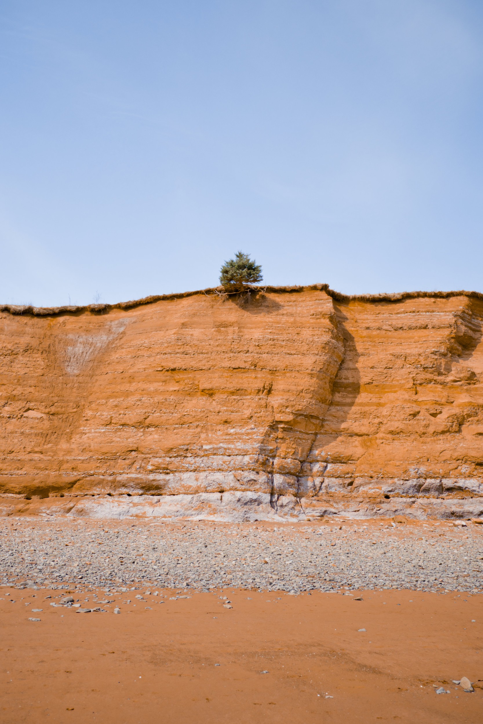 Corey Isenor - Photo 4