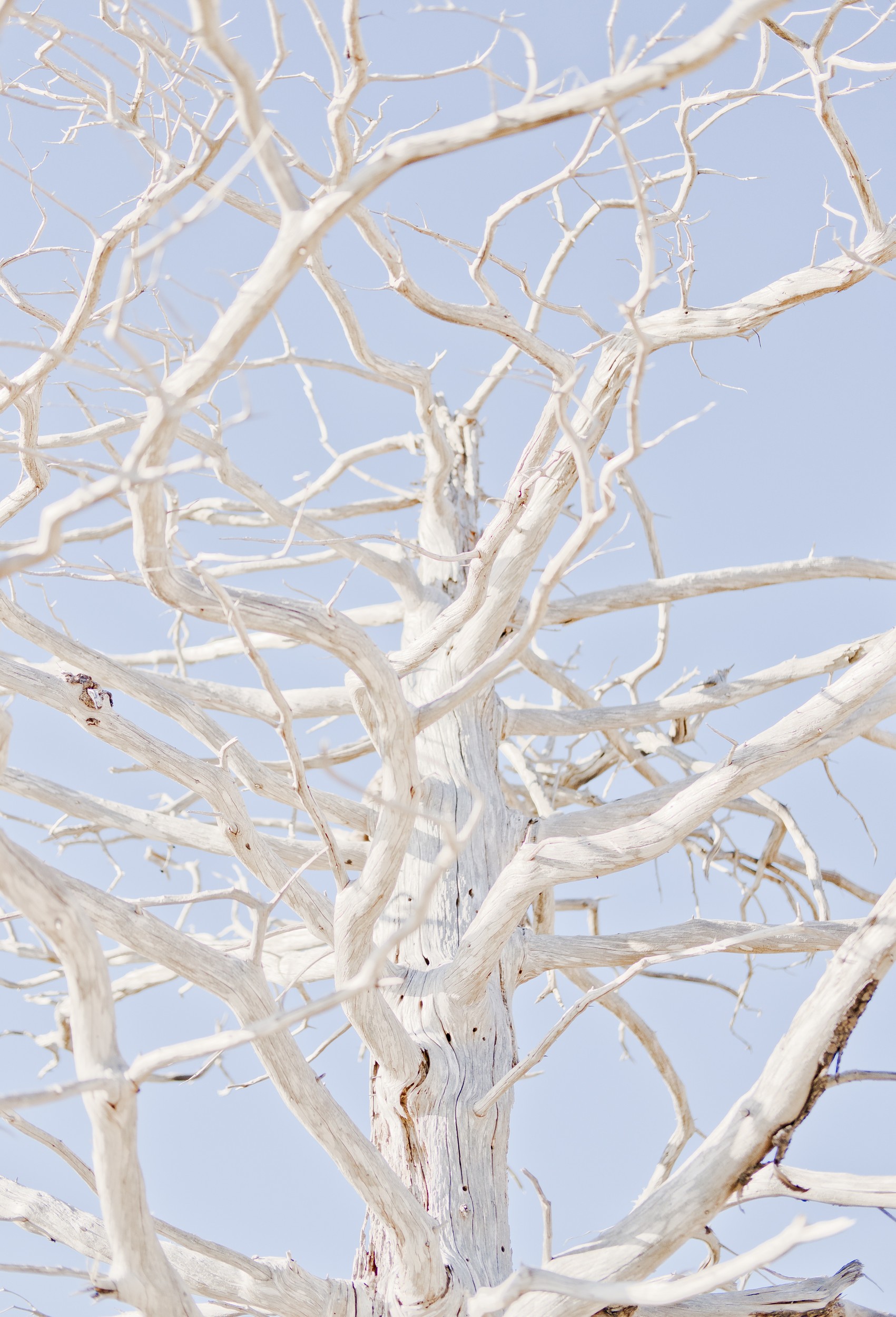 Corey Isenor - Photo 5