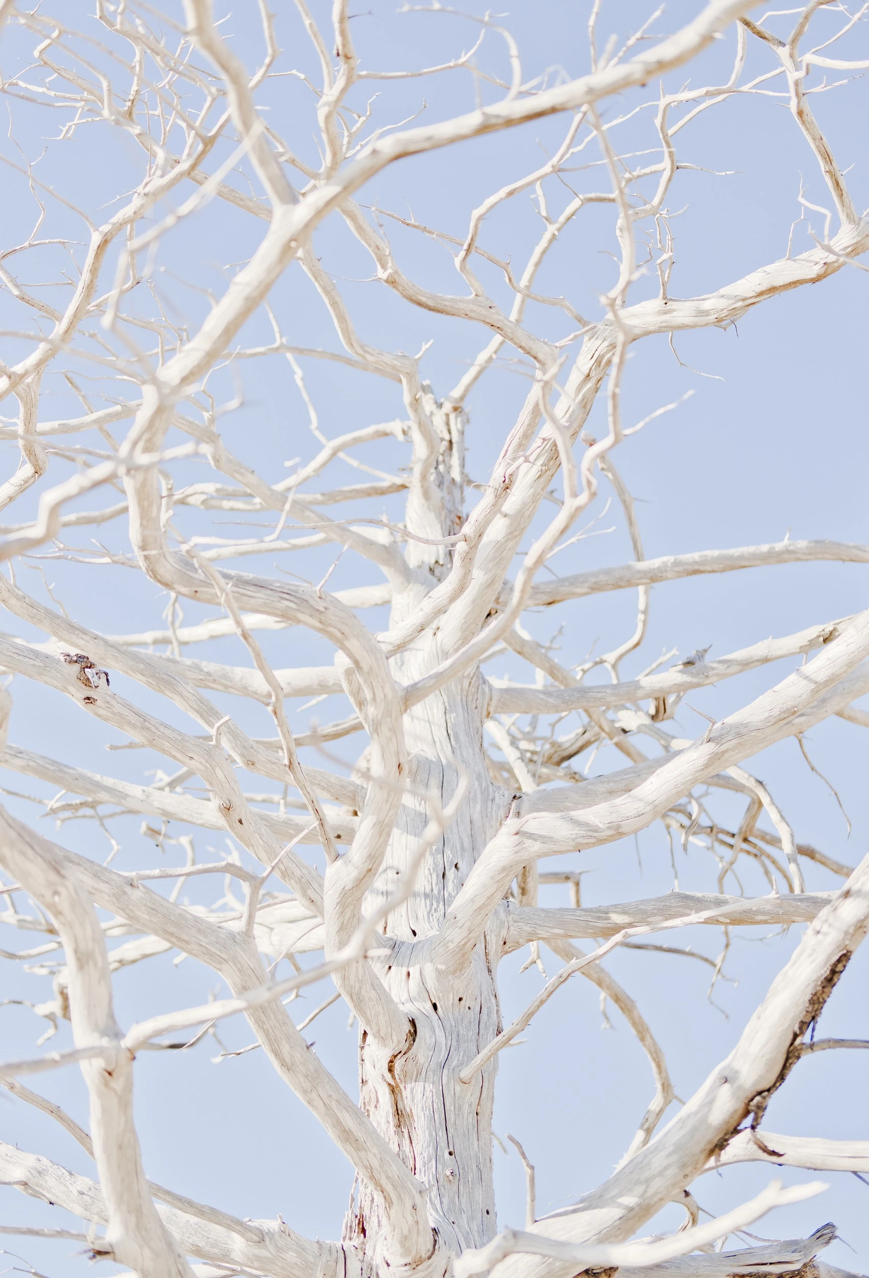 Corey Isenor - Photo 5