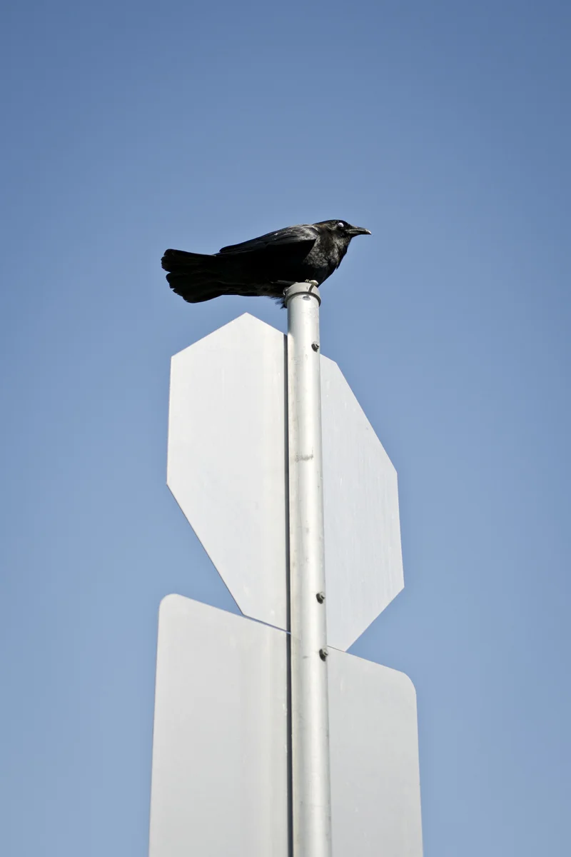 Corey Isenor - Photo 1