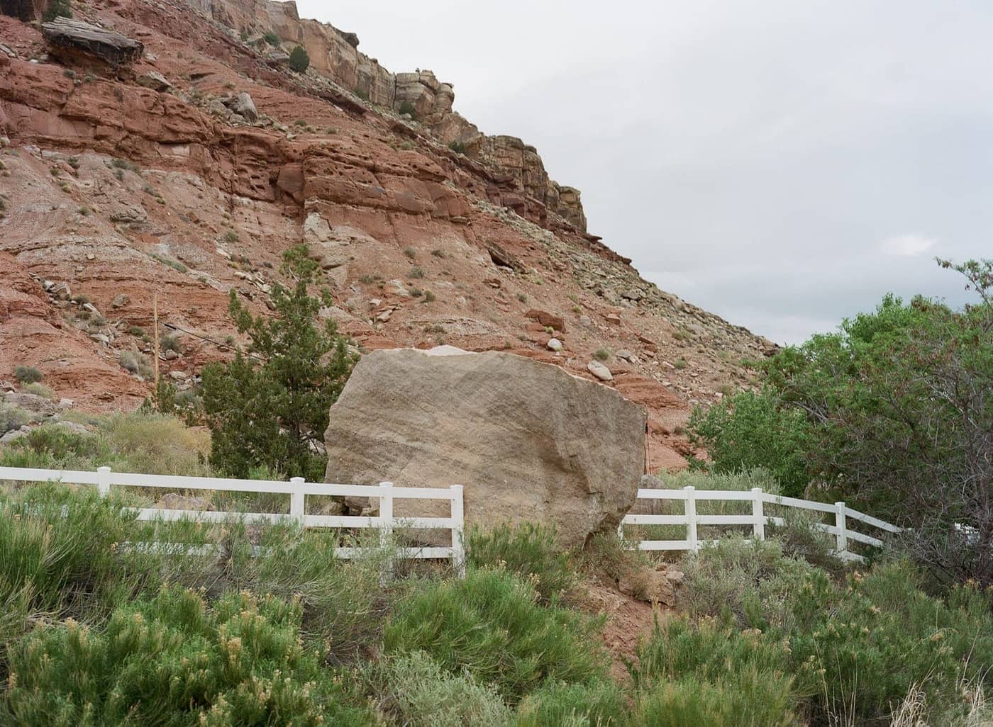 Courtney Allen - Photo 1