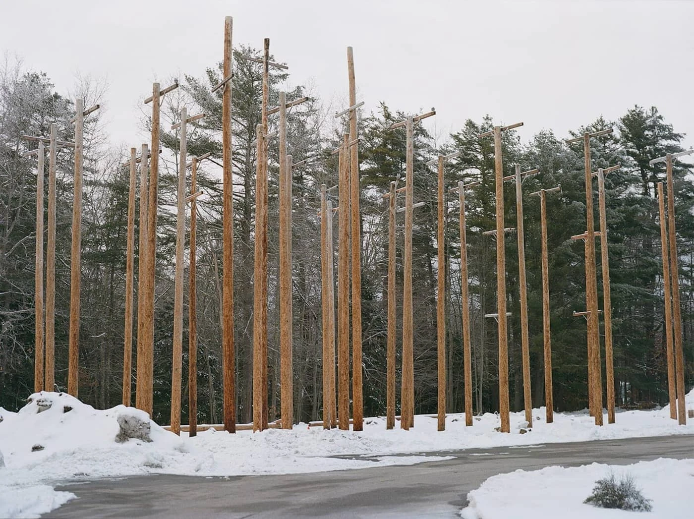 Courtney Allen - Photo 2