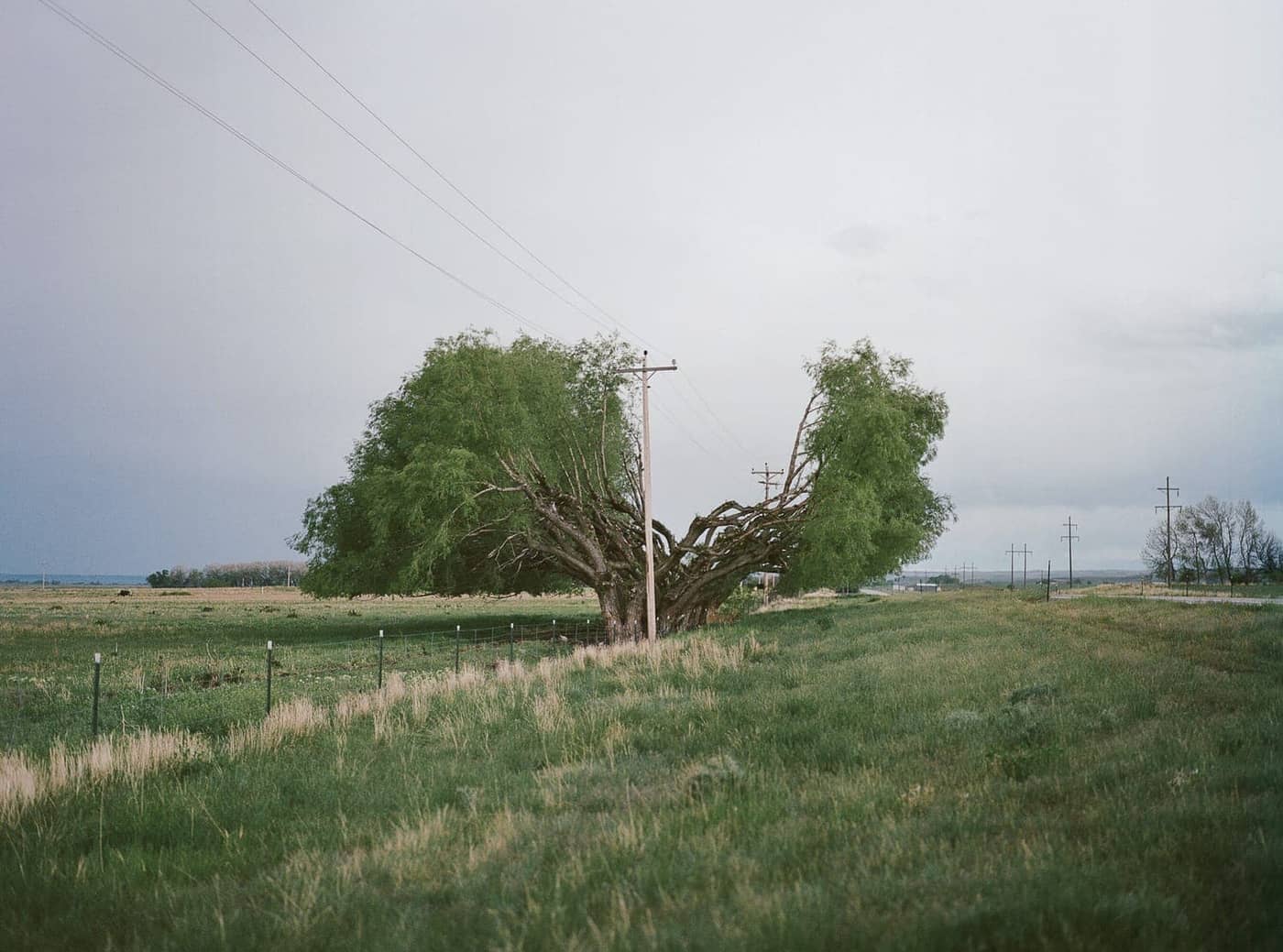 Courtney Allen - Photo 3