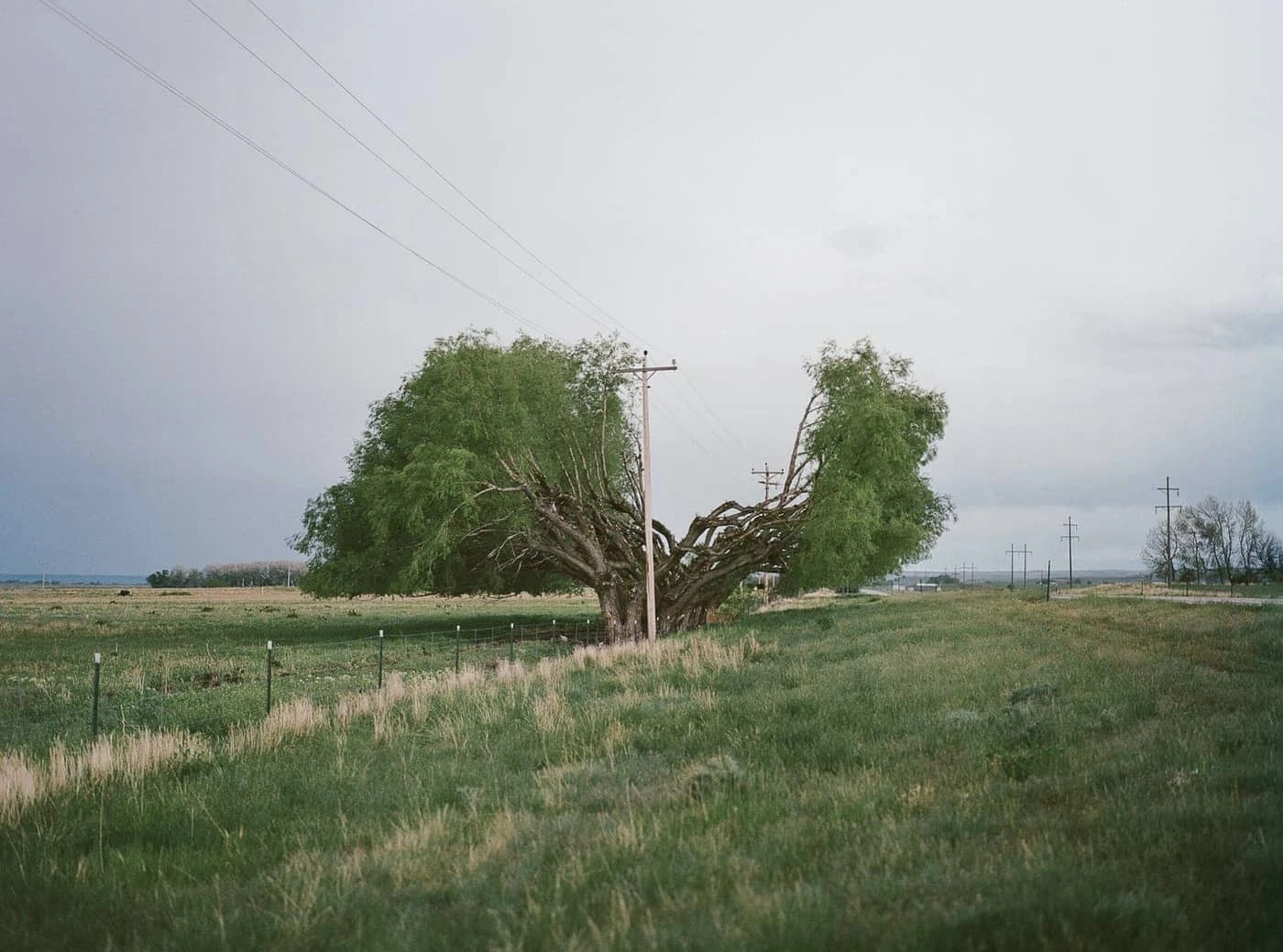 Courtney Allen - Photo 3