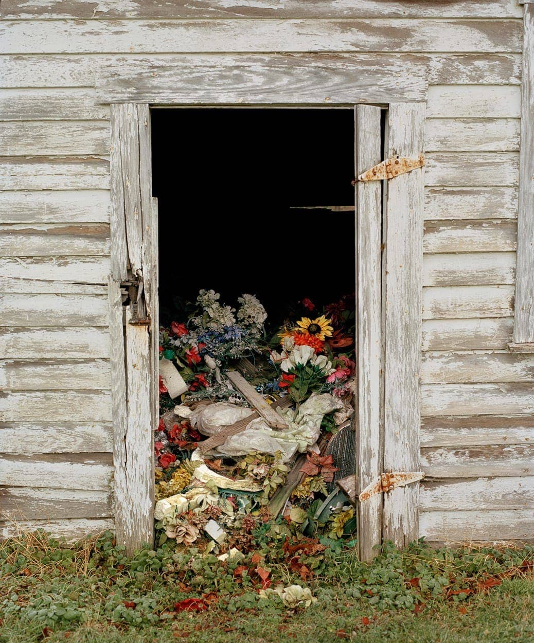 Dana Stirling - Photo 3