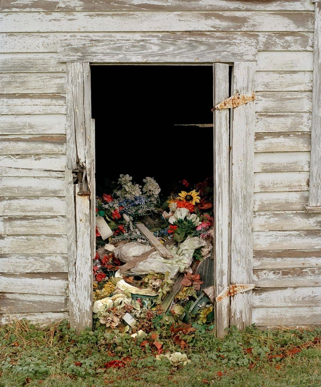 Dana Stirling - Photo 3