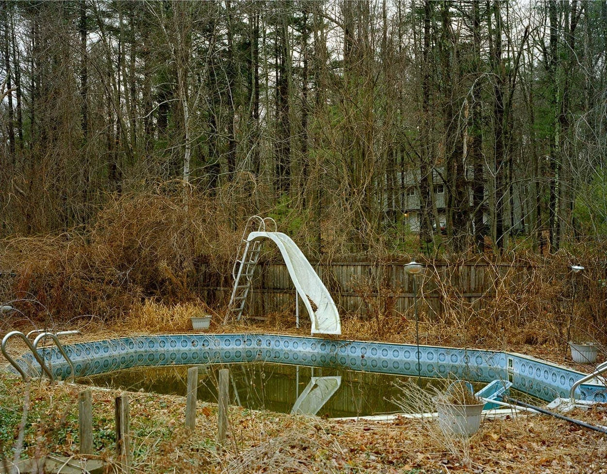 Dana Stirling - Photo 4