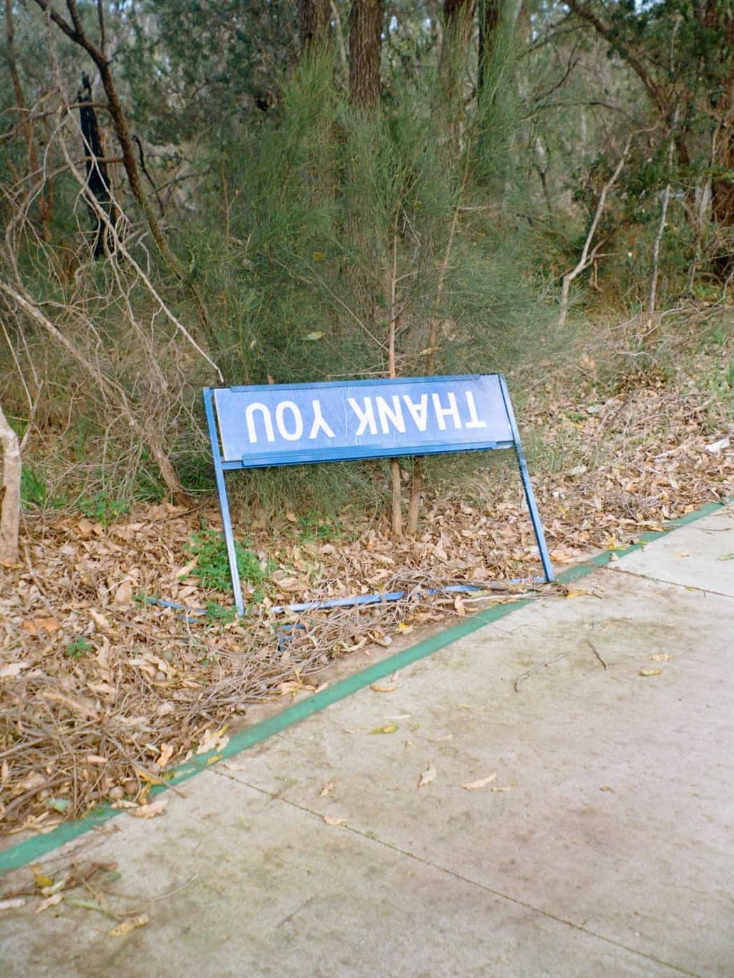 Dave Mclaughlin - Photo 1