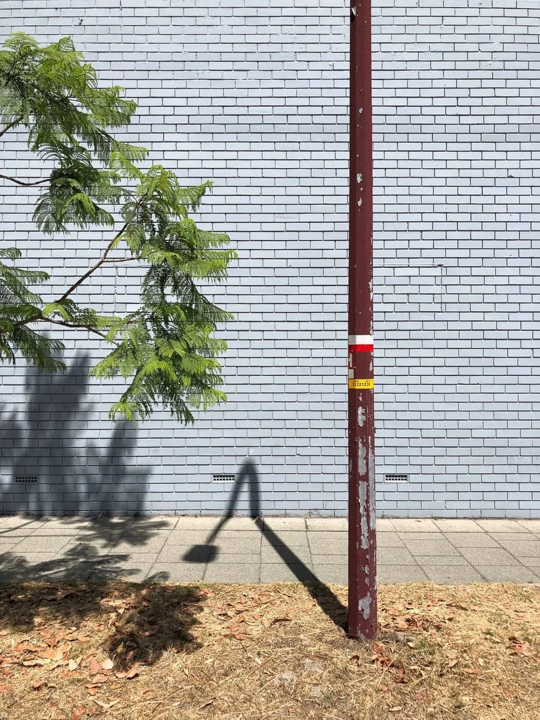 Dave Mclaughlin - Photo 5