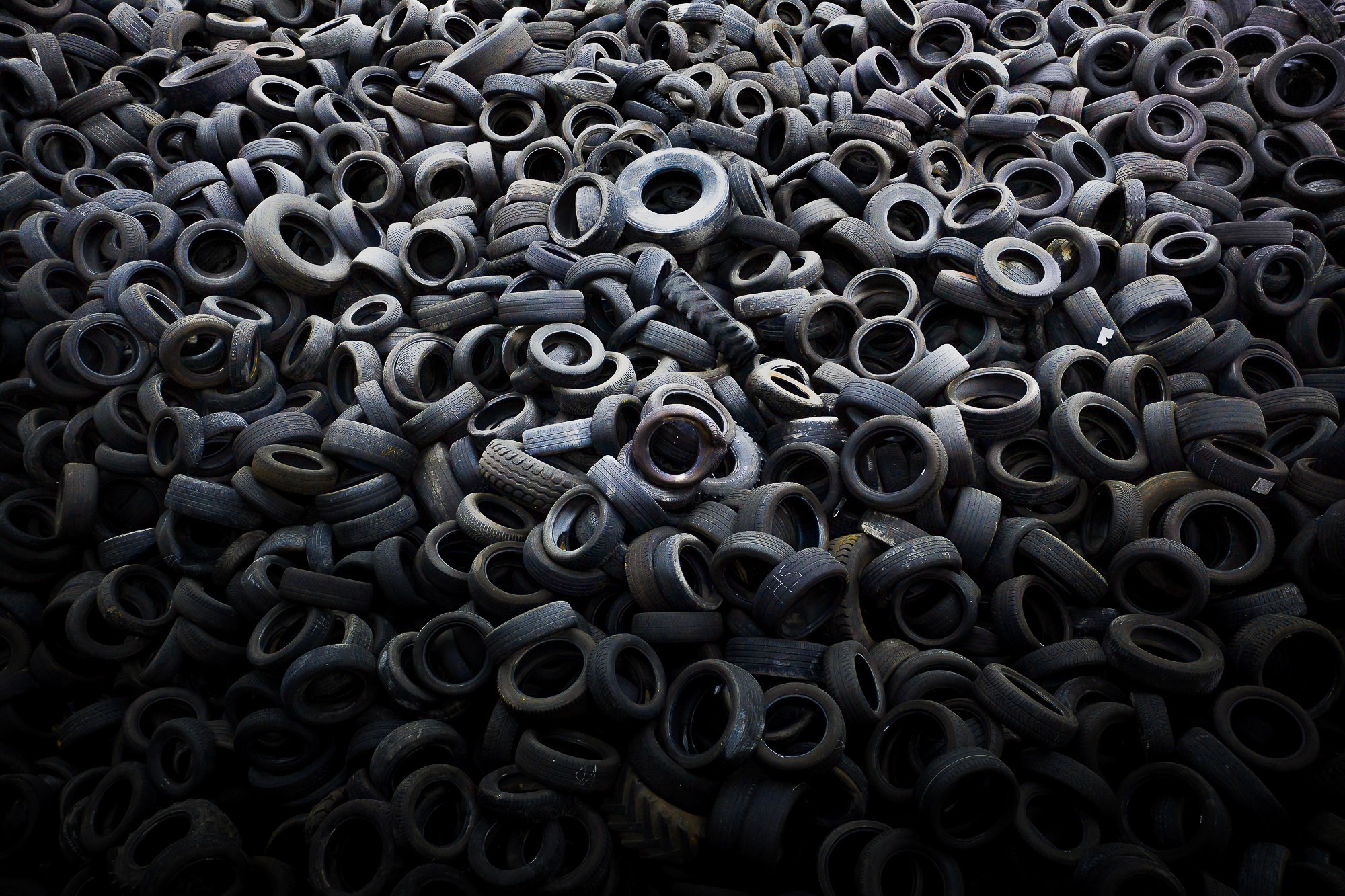 David Bard - Photo 3