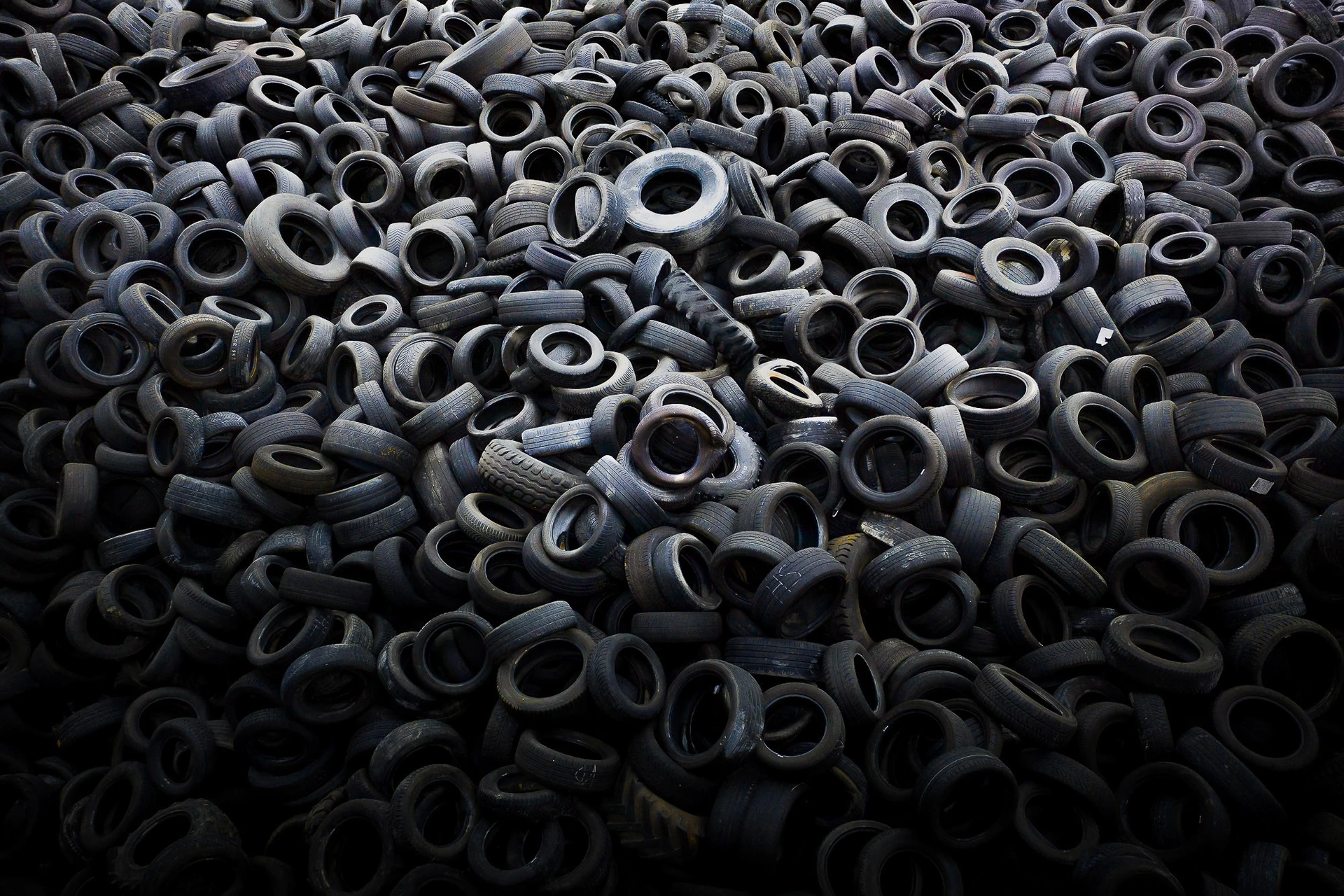 David Bard - Photo 3