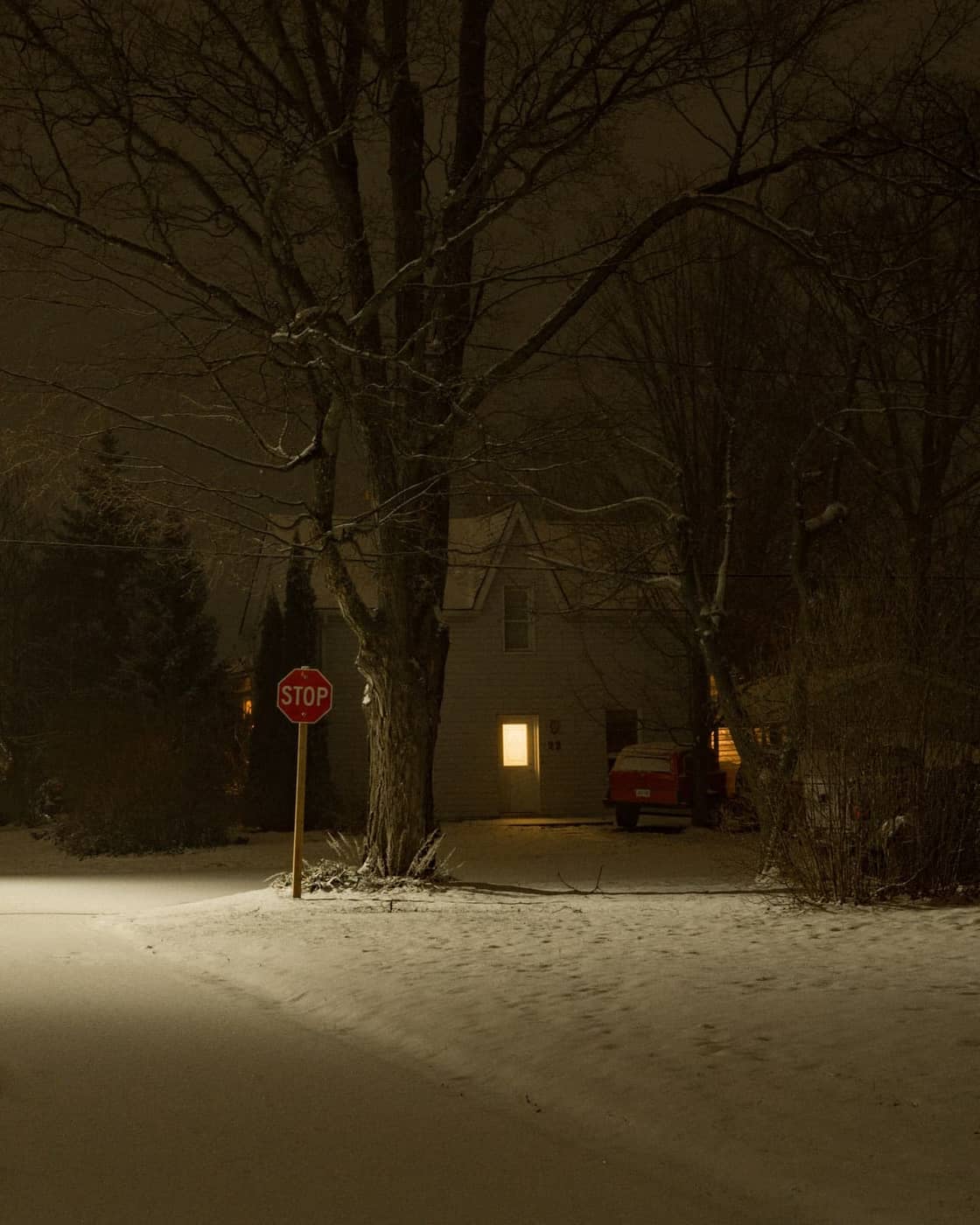 David Herzogn - Photo 1