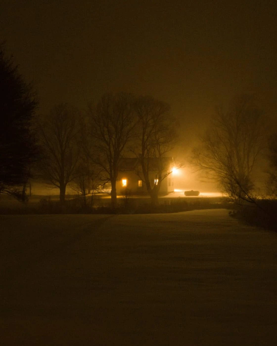 David Herzogn - Photo 3