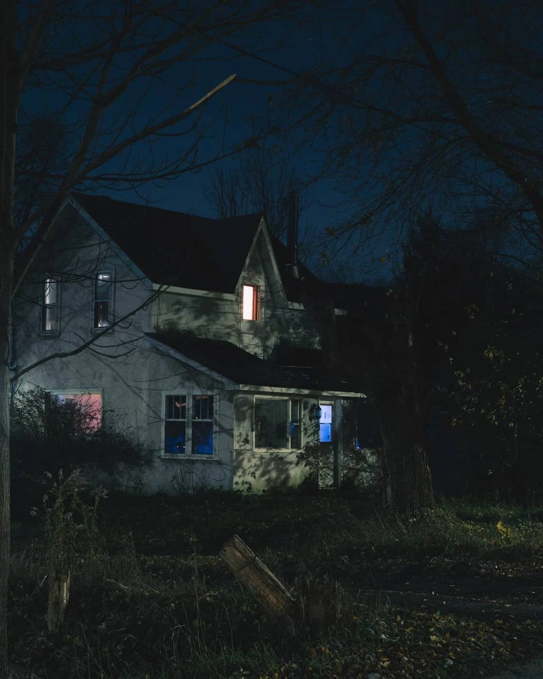 David Herzogn - Photo 4