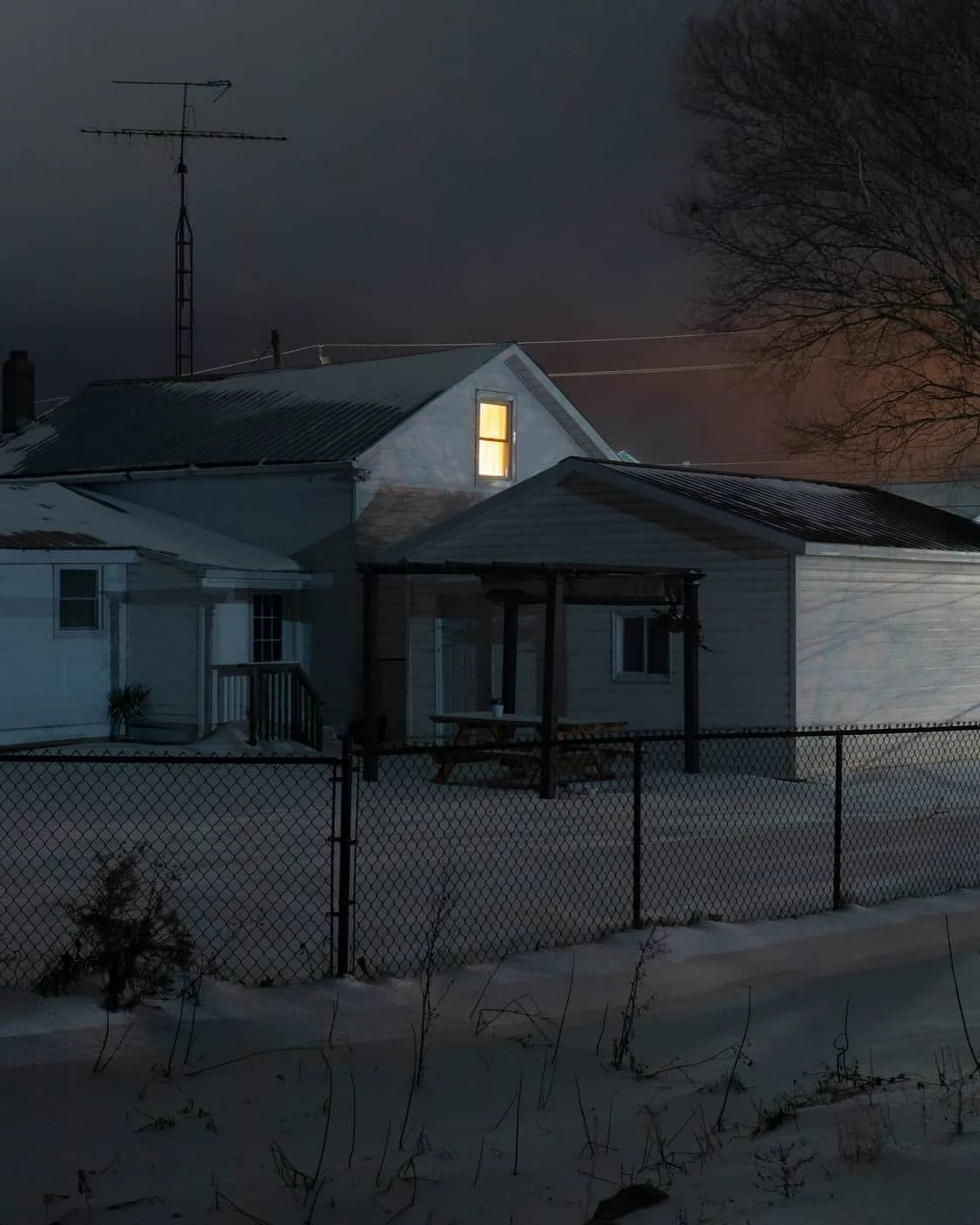 David Herzogn - Photo 5