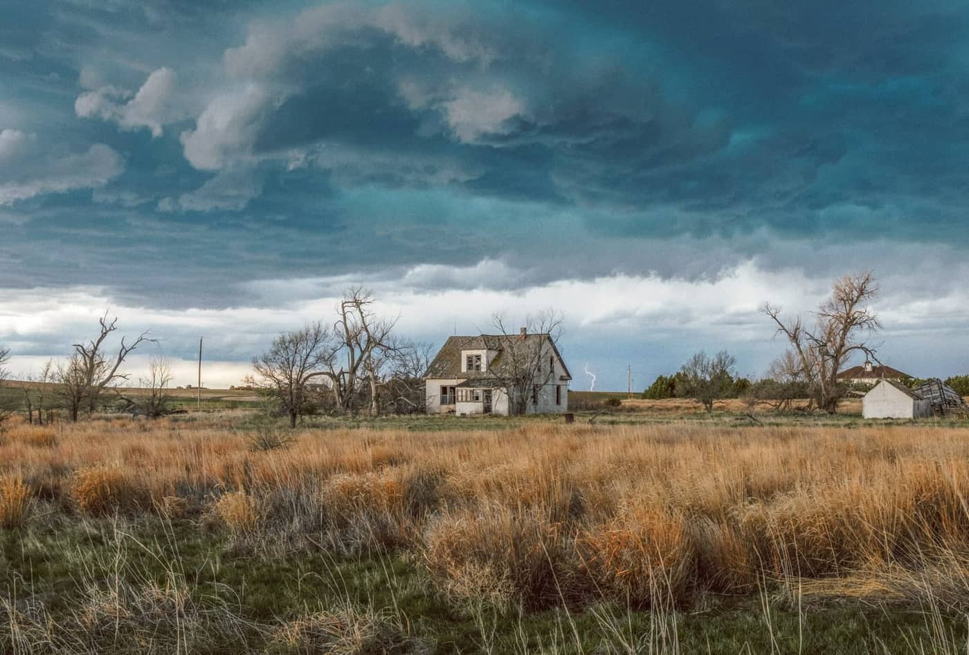 David Lowcher - Photo 1