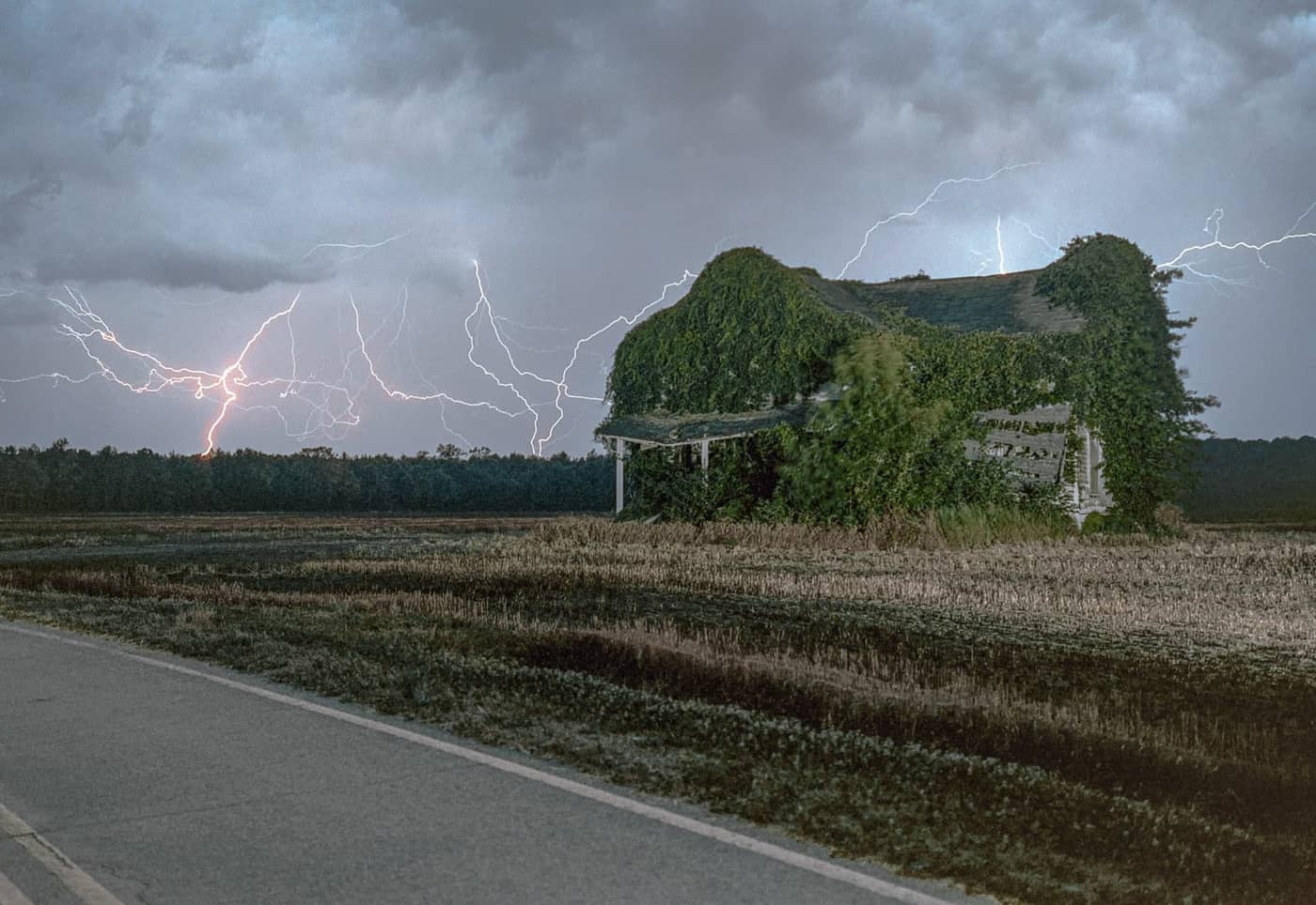 David Lowcher - Photo 3