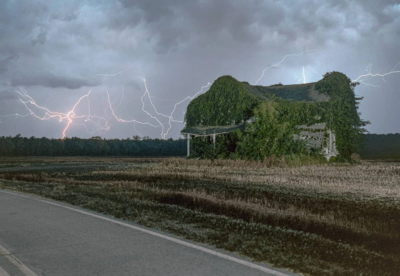 David Lowcher - Photo 3