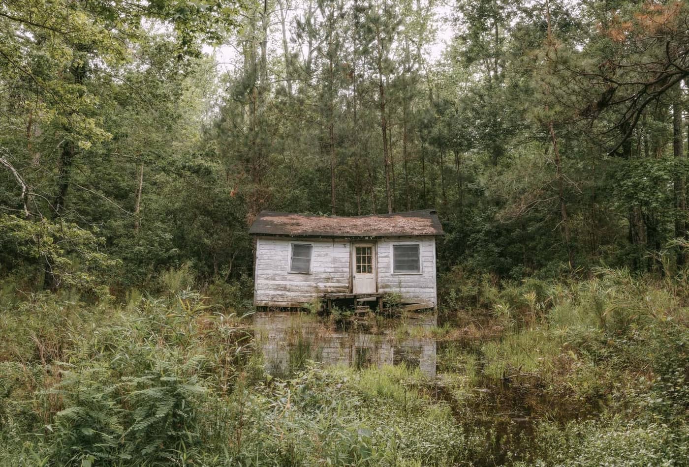 David Lowcher - Photo 4