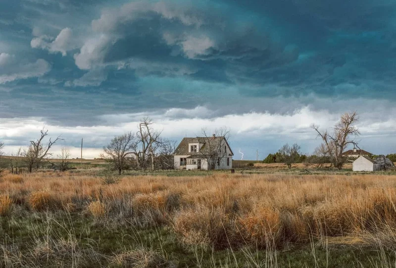 David Lowcher - Photo 1