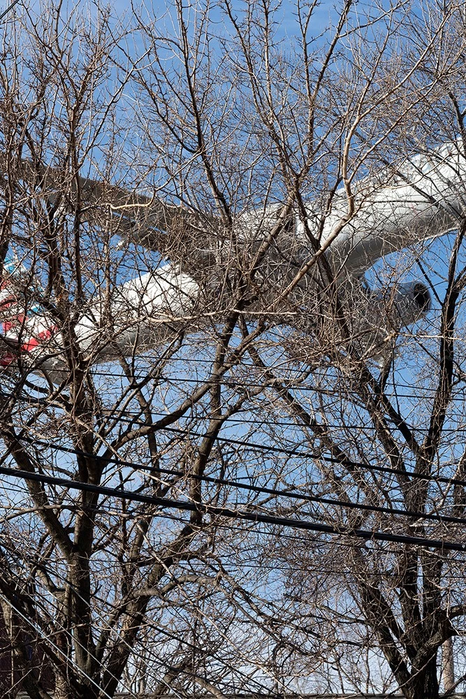 David Rothenberg - Photo 2