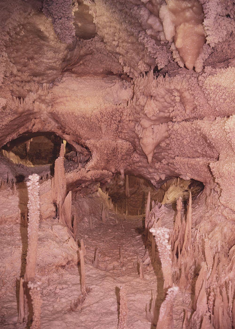 Delaney Allen - Photo 2