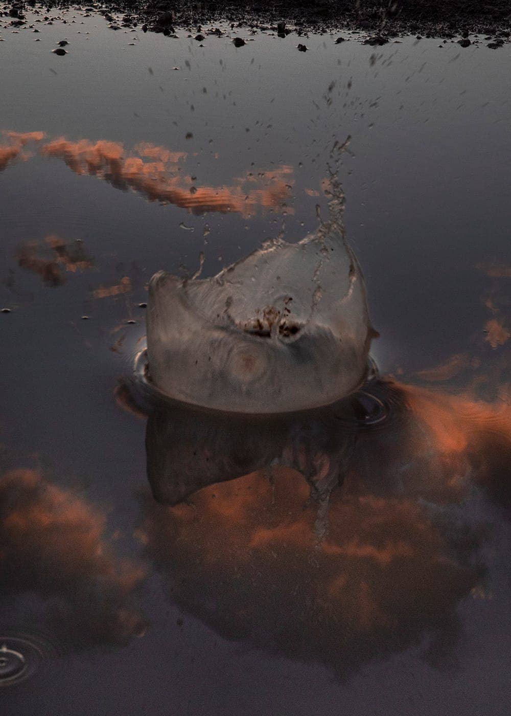 Delaney Allen - Photo 3