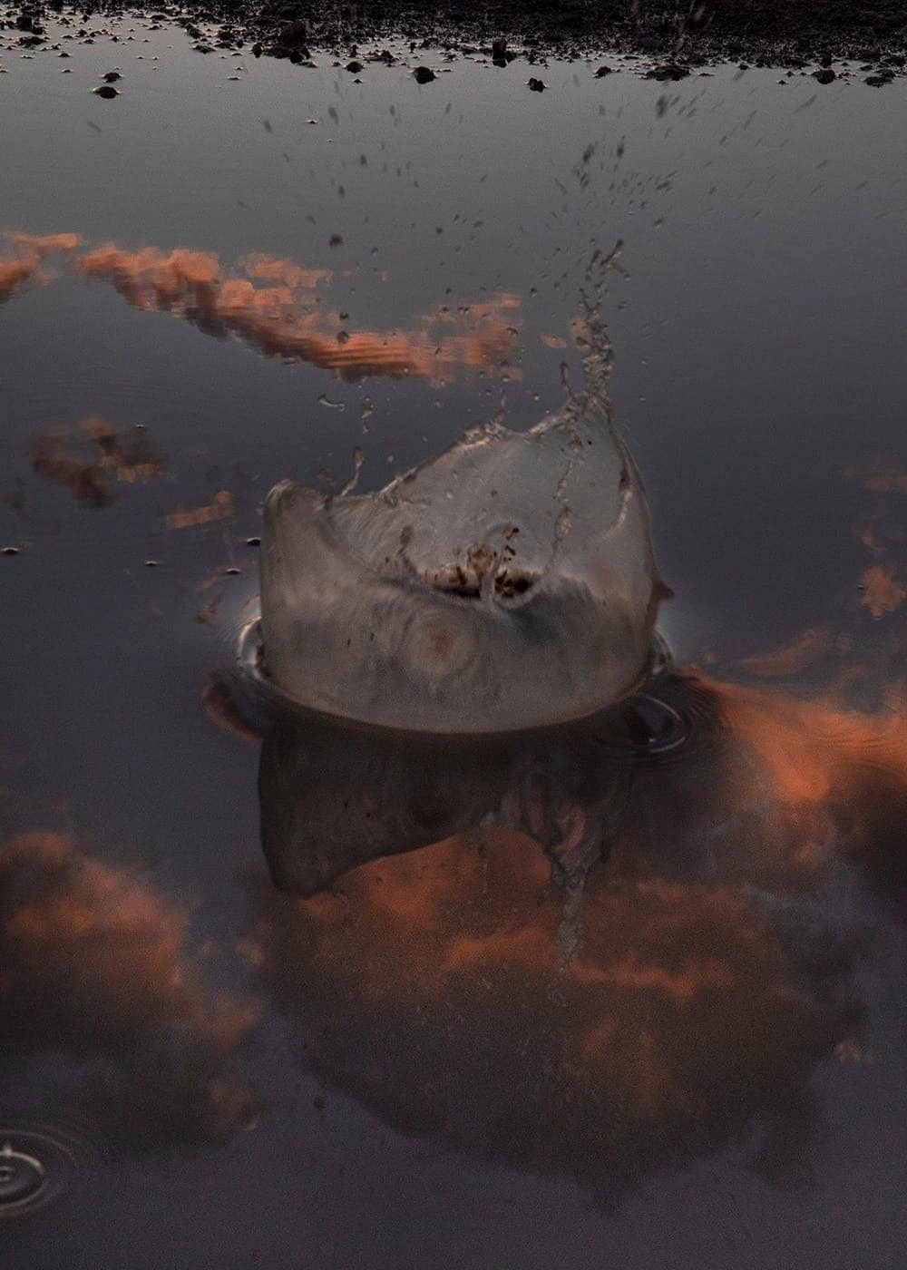 Delaney Allen - Photo 3