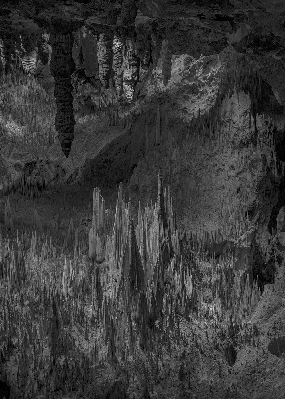 Delaney Allen - Photo 4