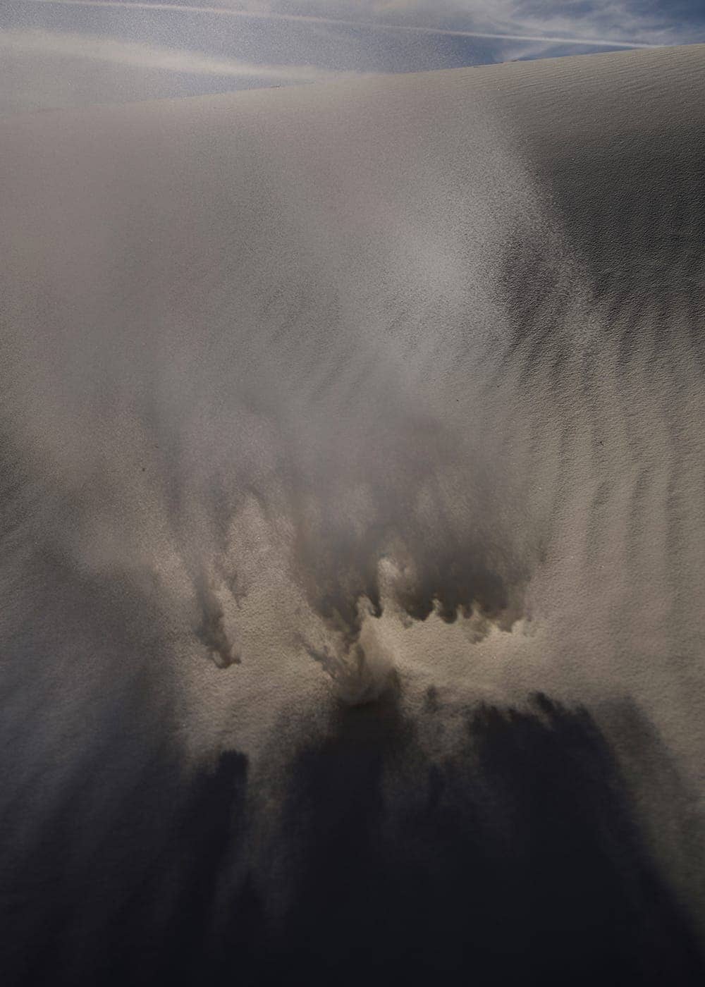 Delaney Allen - Photo 6