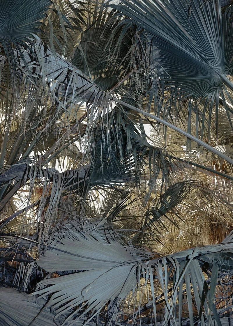 Delaney Allen - Photo 1