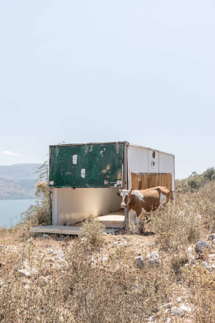 Denis Liang - Photo 4