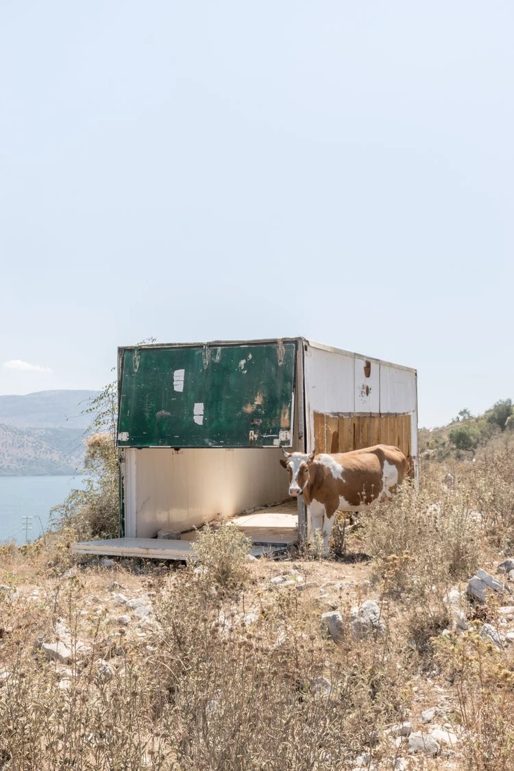 Denis Liang - Photo 4