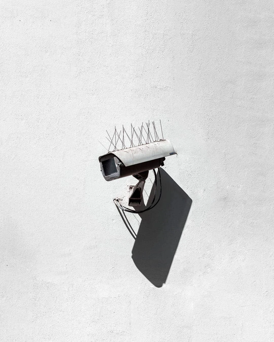 Dillon Versprille - Photo 3