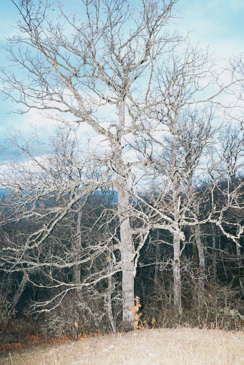 Domenico Matera - Photo 3