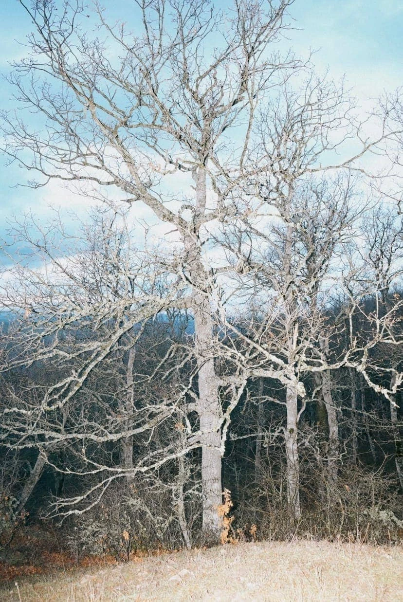 Domenico Matera - Photo 3