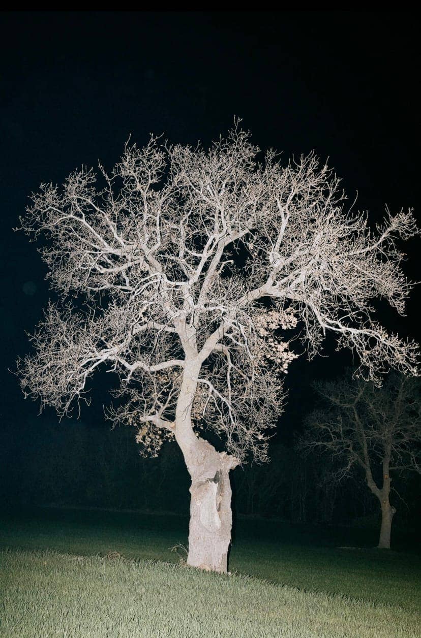 Domenico Matera - Photo 4