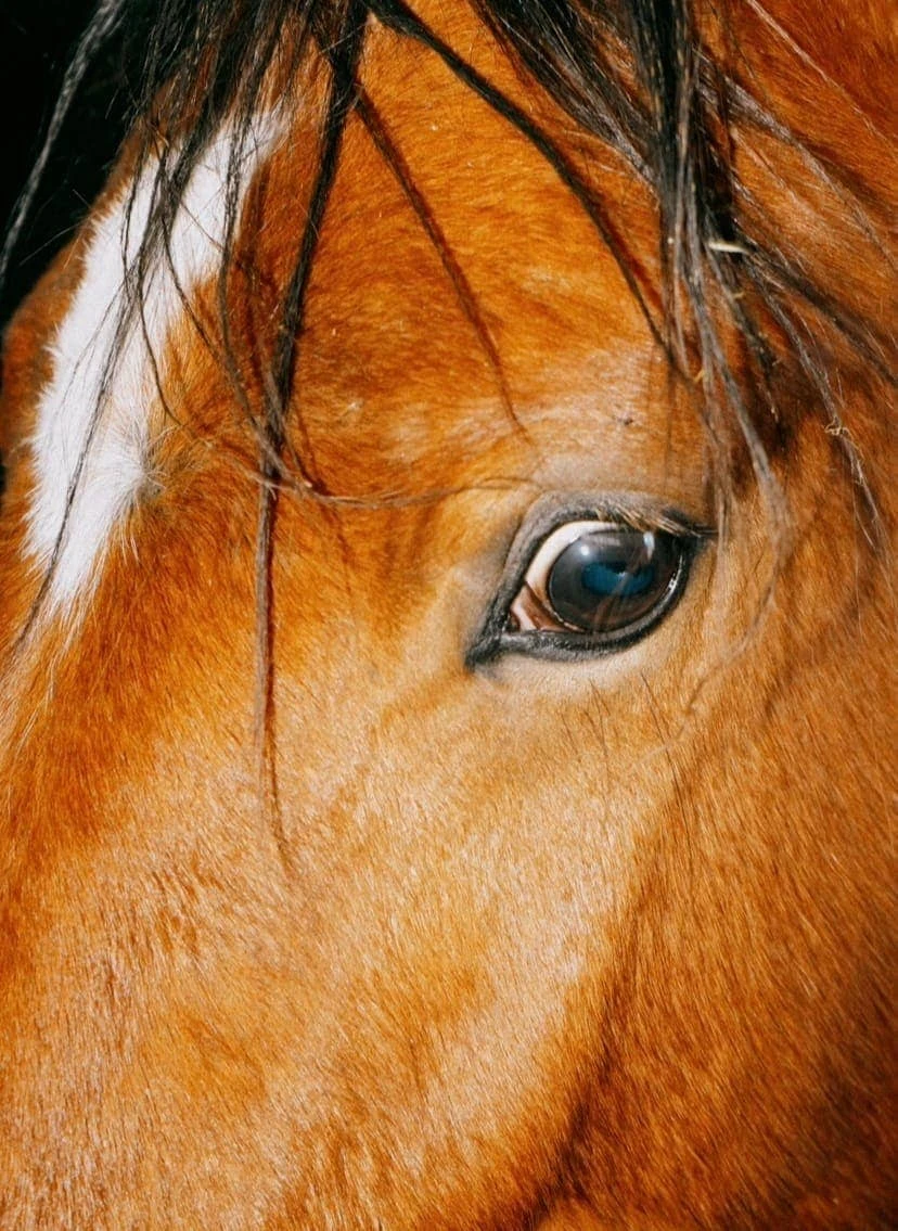 Domenico Matera - Photo 5