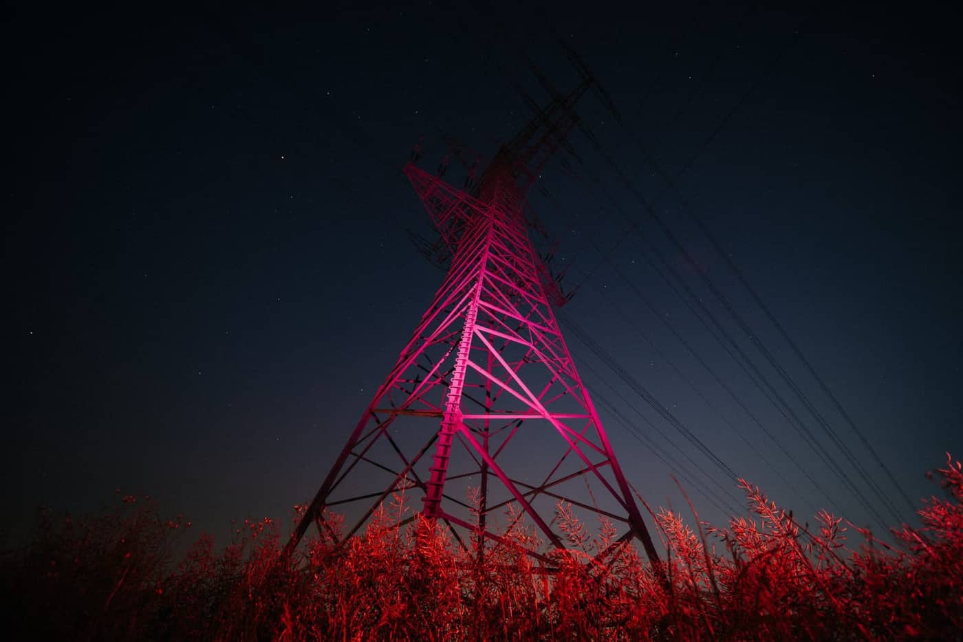 Dominik Scharf - Photo 1