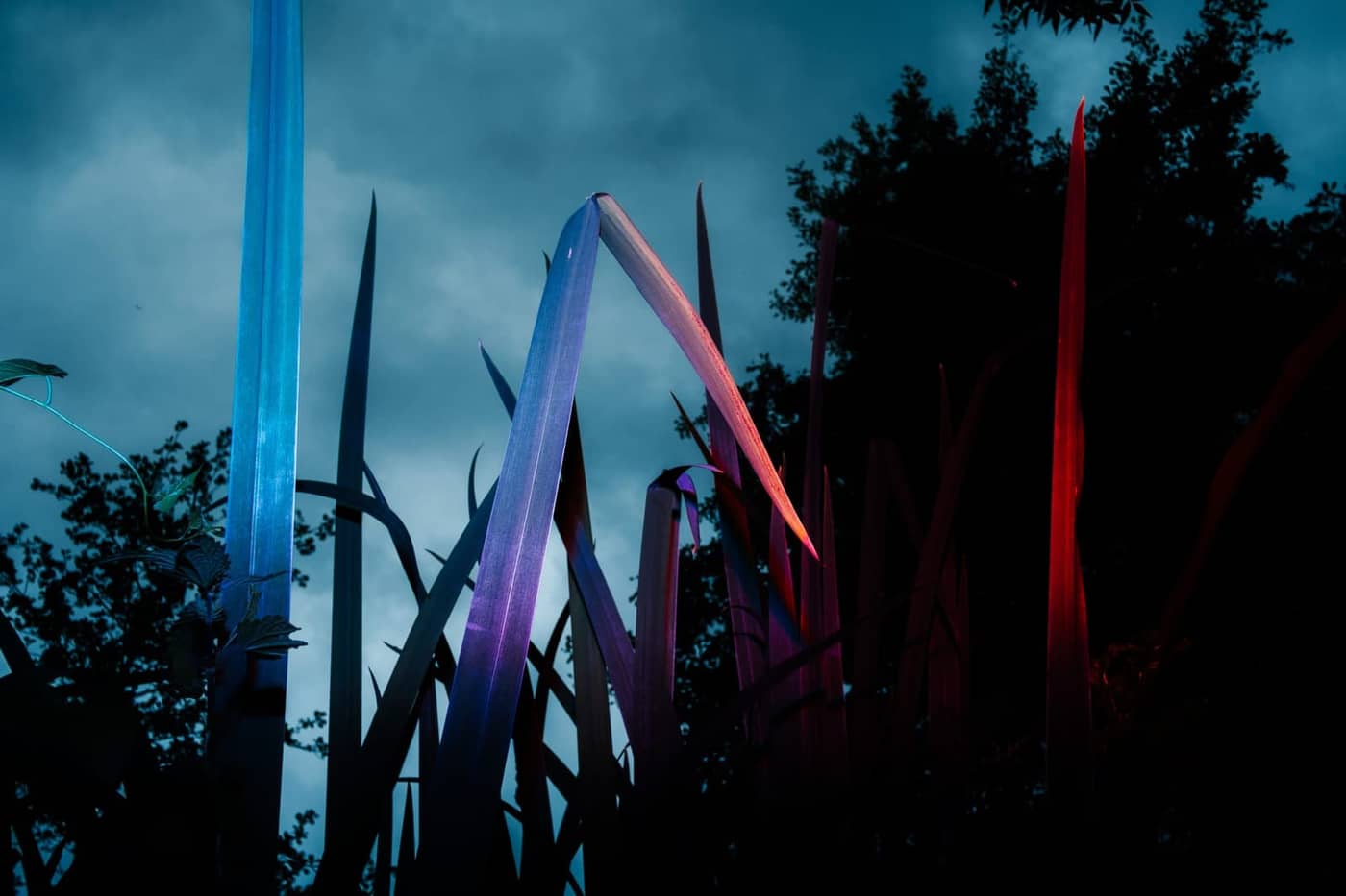 Dominik Scharf - Photo 6