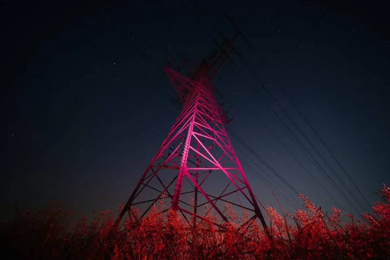 Dominik Scharf - Photo 1