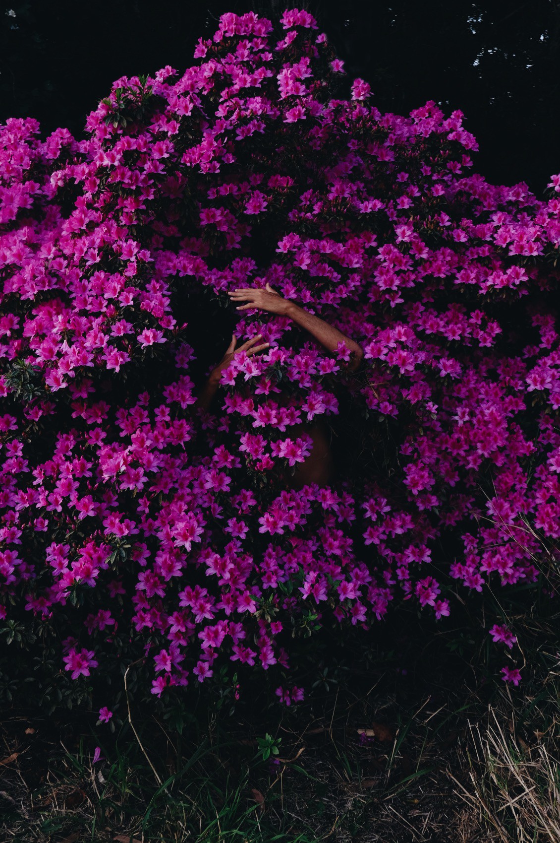 Ernesto Sumarkho - Photo 4