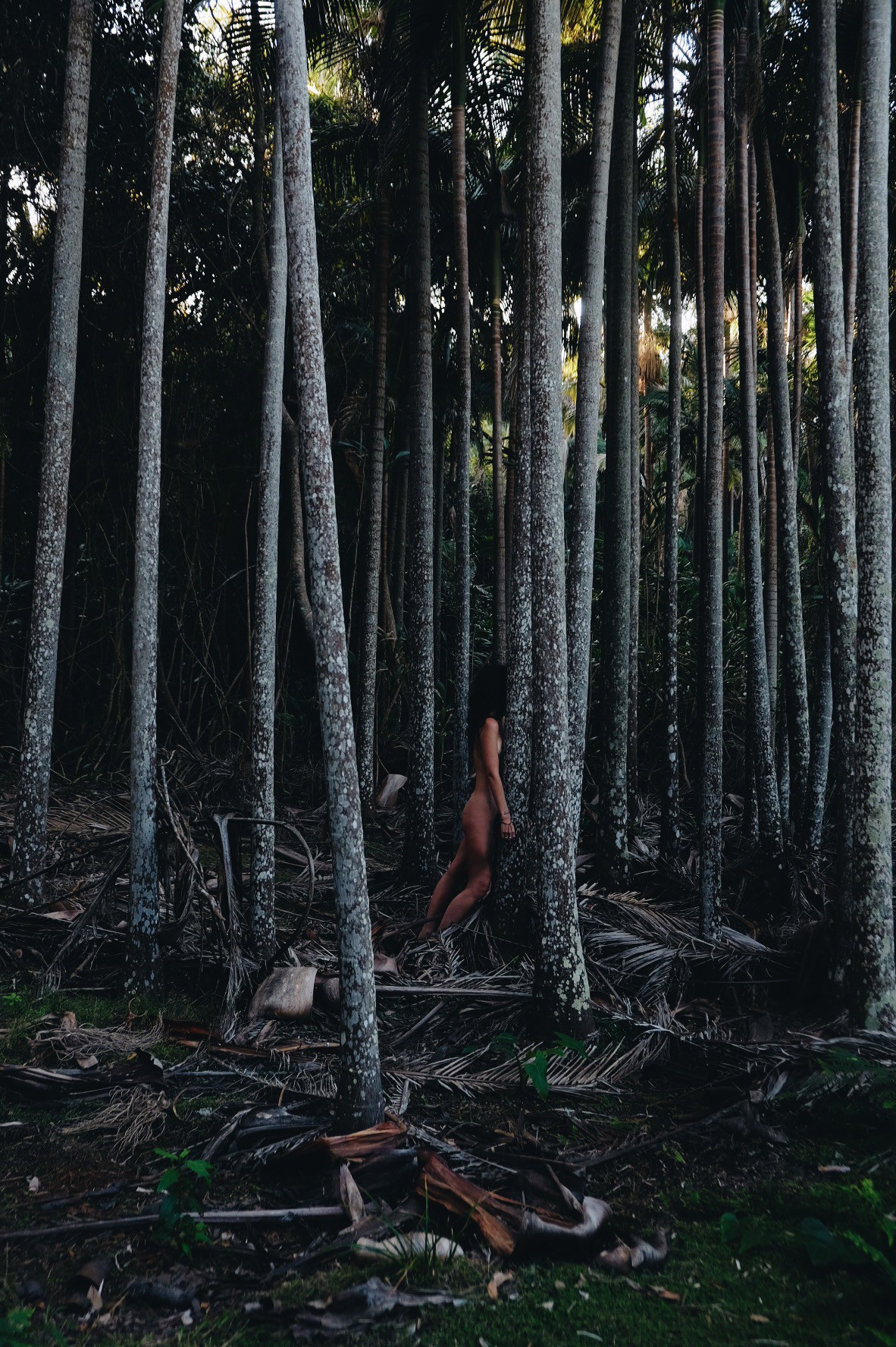 Ernesto Sumarkho - Photo 5