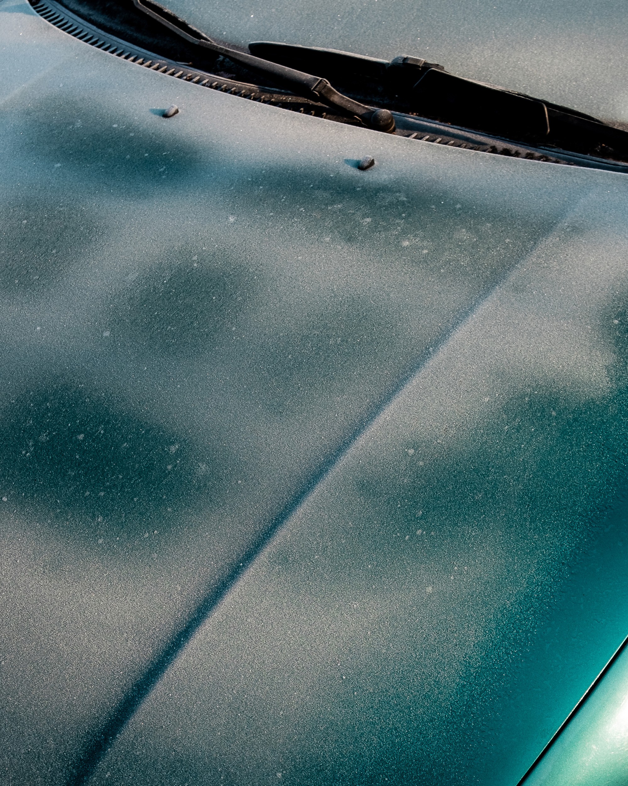 Felix Hahn - Photo 2