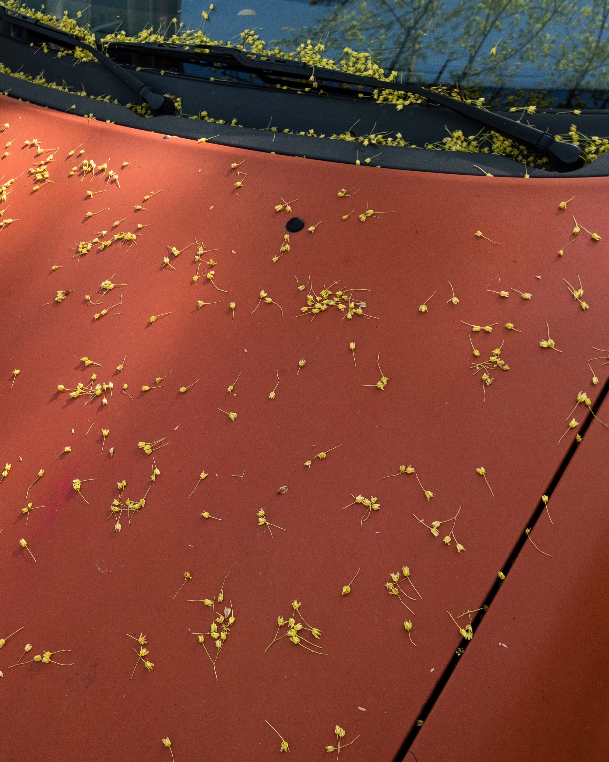 Felix Hahn - Photo 3