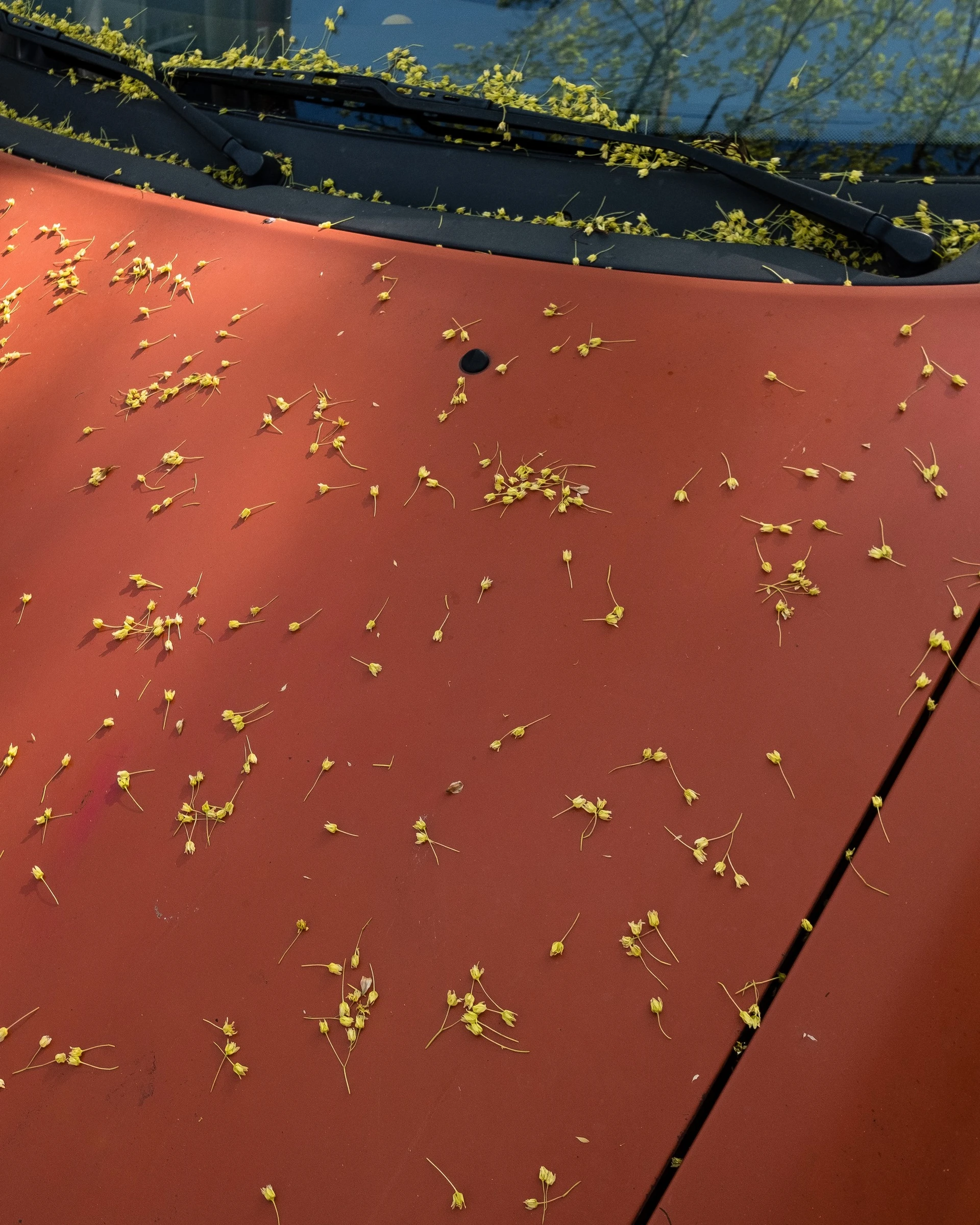 Felix Hahn - Photo 3