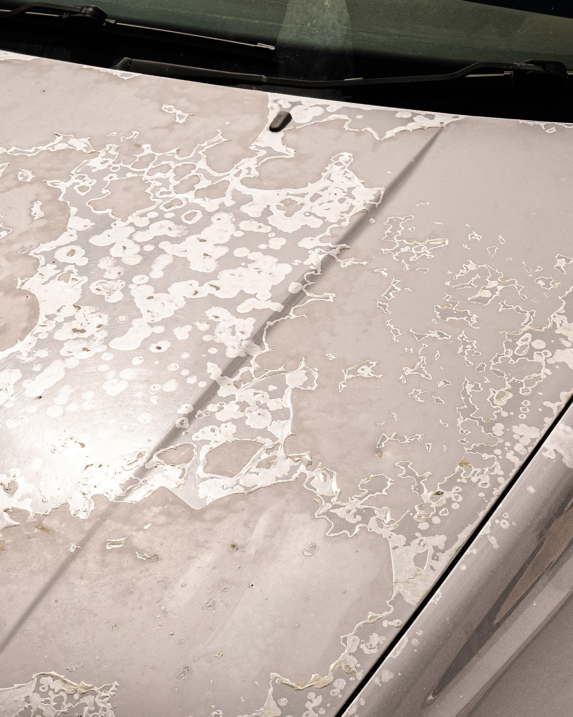 Felix Hahn - Photo 4