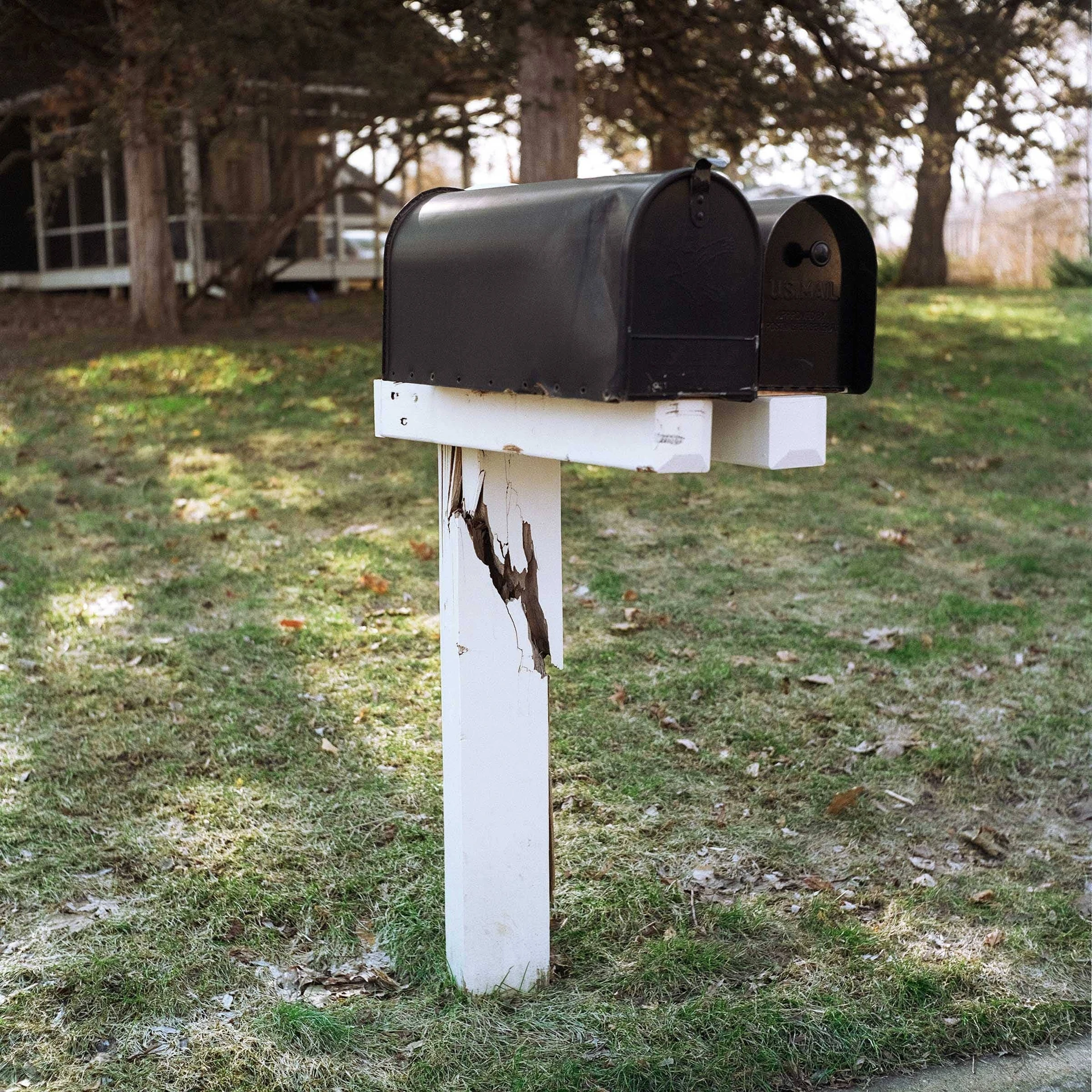 Forrest Wasko - Photo 4