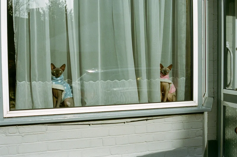 Francesco Fantini - Photo 1