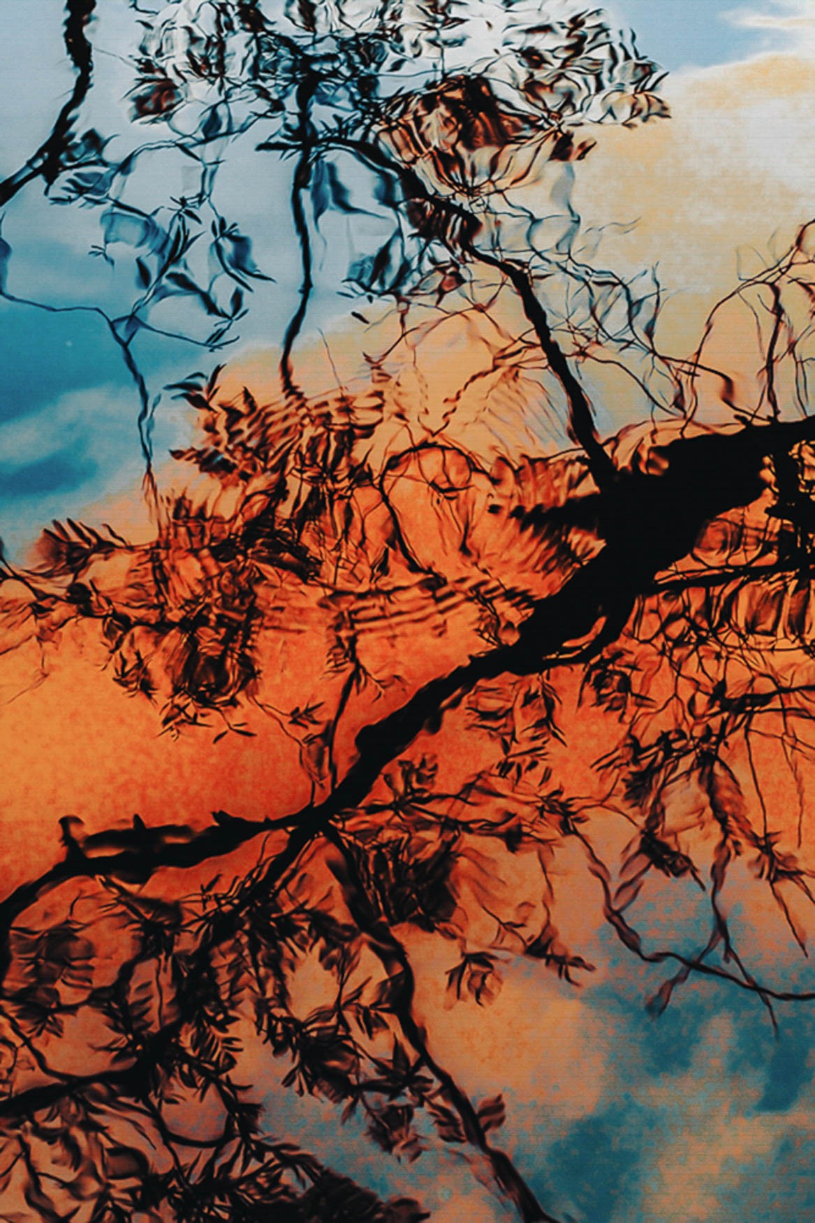 Francesco Gioia - Photo 5